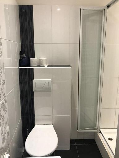 Stara Louka Apartments Карлові Вари Екстер'єр фото